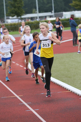 OGP_20150913_0081.jpg