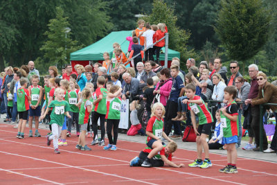 OGP_20150913_0110.jpg