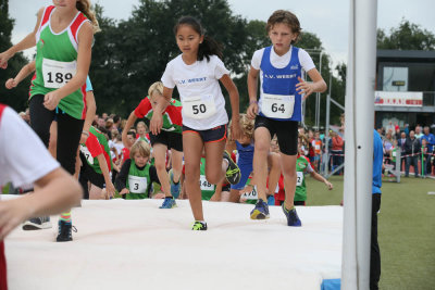 OGP_20150913_0162.jpg