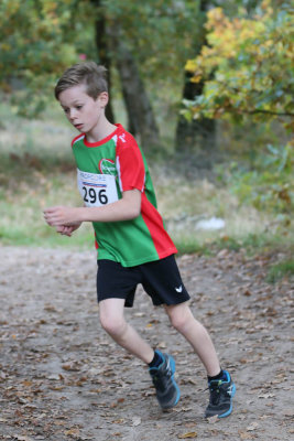 OGP_20150925_0333.jpg
