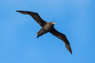 OGP_20160401_0210-beterr.jpg