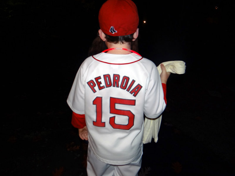 gPedroia.jpg