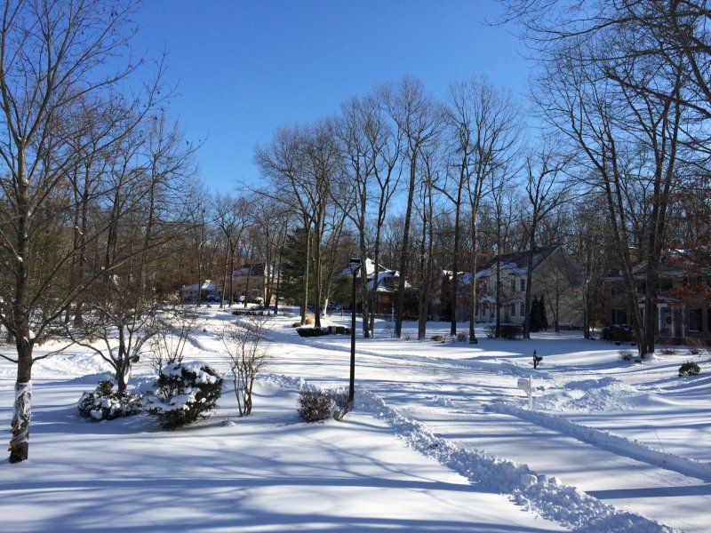 diversFarmingtonCT.jpg
