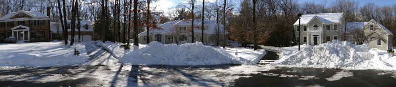 panFeb14_2014.jpg