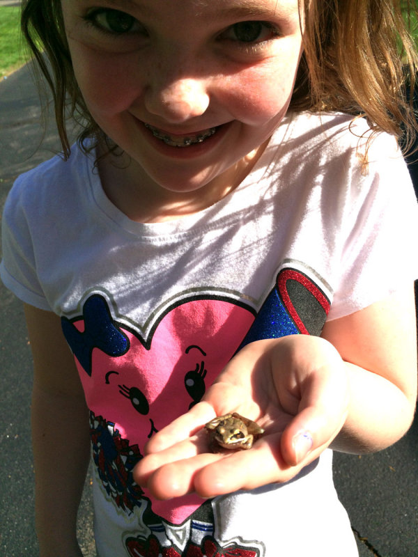 ellieFrog.jpg