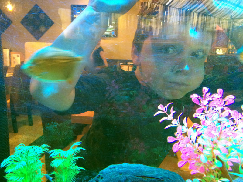 GFish.jpg