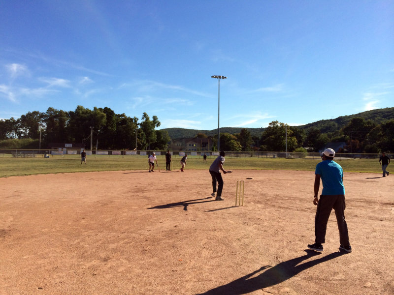 cricket2.jpg