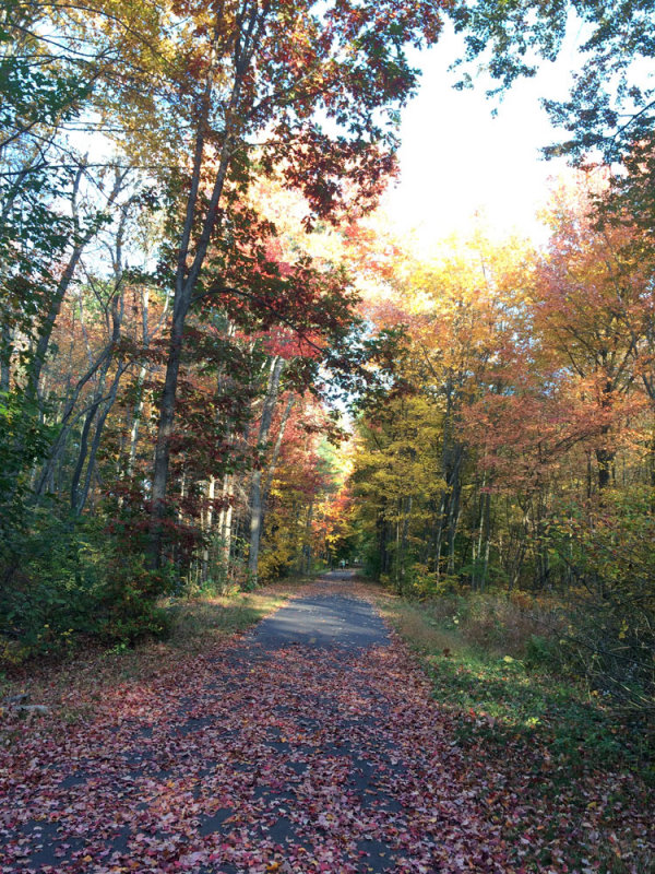 cvillecolors.jpg