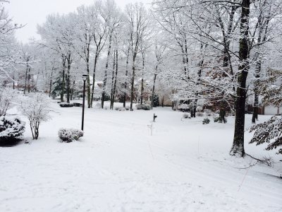 10dec2013_snow.jpg