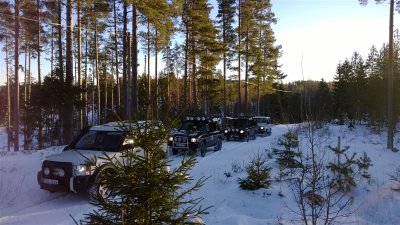 03 - Paus i skogen