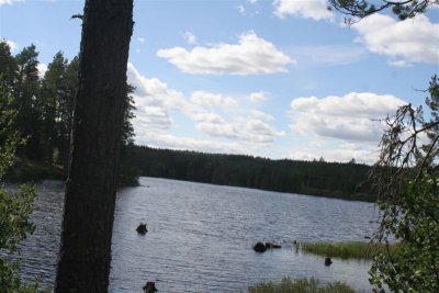 2014-07-31 13.48.36.jpg