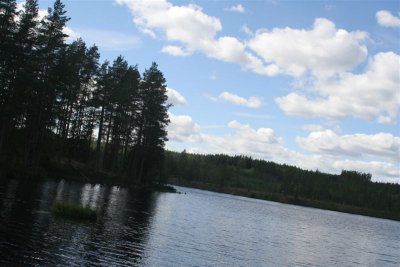 2014-07-31 13.49.20.jpg