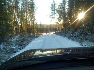 DSC_0056 (2).JPG