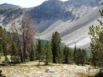 Pointing to the Goats Pasture