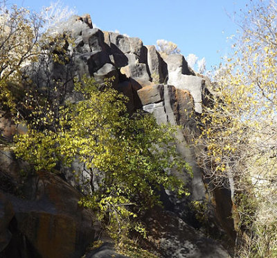 Basalt Rocks, Ross Park
