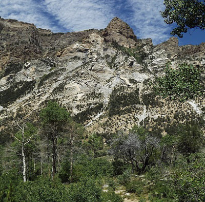 View across Lamoille Canyon