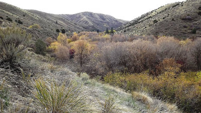 Looking up Mink Creek from Cherry Springs