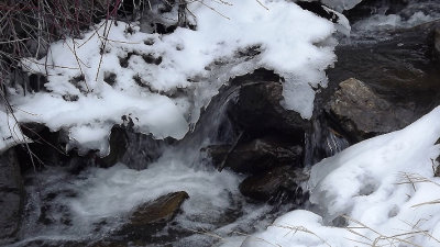 Ice in Garden Creek