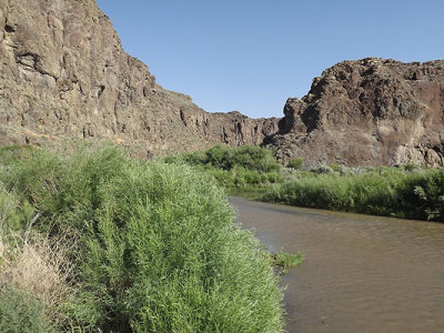 Salmon Falls Creek