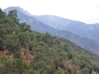 California's Sierra Foothills