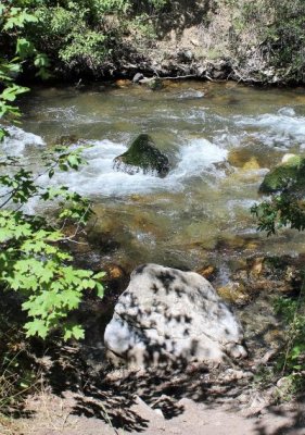 Palisade Creek