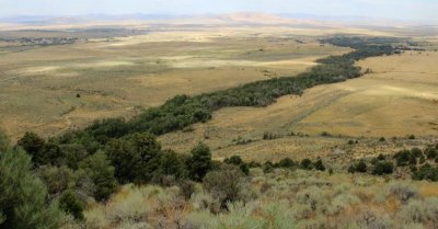 Lamoille Creek Crosses the Plain