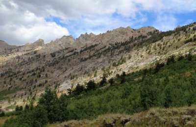 Eastern Border of Lamoille Canyon