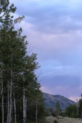 Lamoille's Gentle Evening