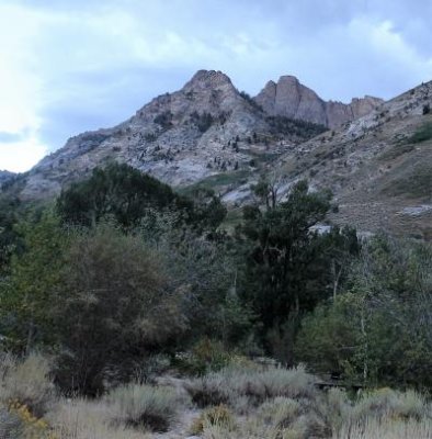 Evening in Lamoille Canyon