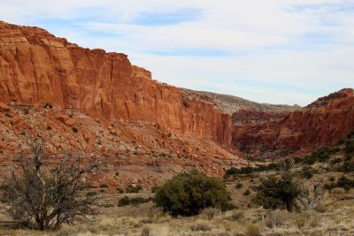 Red Cliffs at Capitol Reef