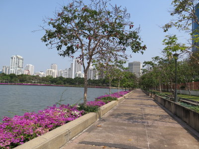 Bangkok Benjakitti park