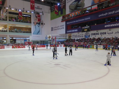 Dubai mall ice rink