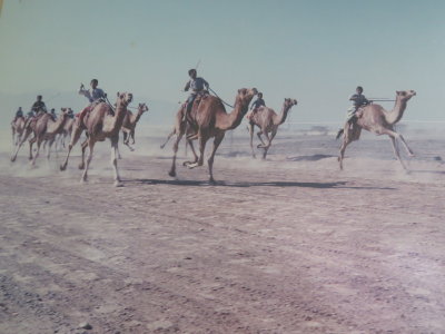 picture in Muscat airport