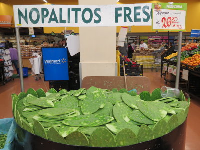 Mexico City cactus leaf for sale in Walmart