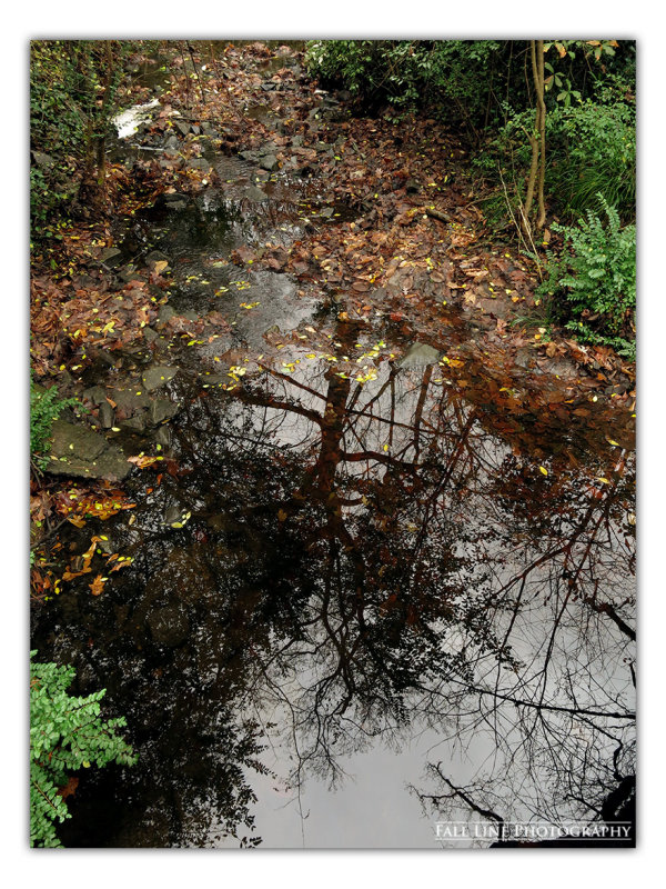Creekside, Orme Park