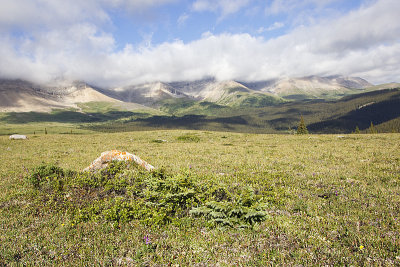 cardinal divide 072113_MG_3870 