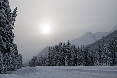 kananaskis scenery 112914IMG_2391 