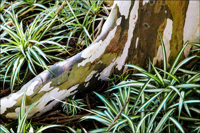 Sitio 2 copy.jpg