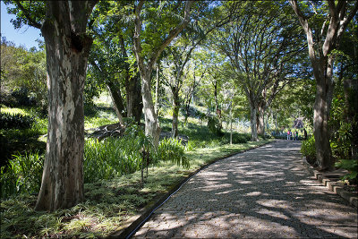 Il Sitio di Roberto Burle Marx 3