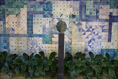 Il Sitio di Roberto Burle Marx 11