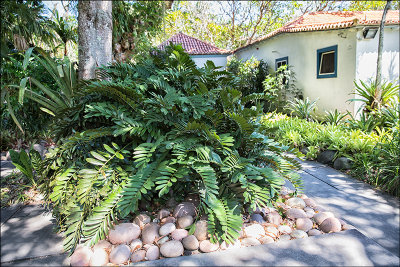 Il Sitio di Roberto Burle Marx 27