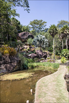 Il Sitio di Roberto Burle Marx 47