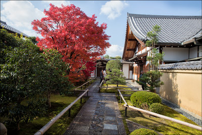 Daitoku-ij 1 copy.jpg