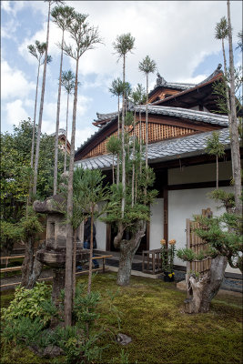 Daitoku-ij 14 copy.jpg