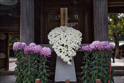 Meiji-jingu shrine 15 copy.jpg