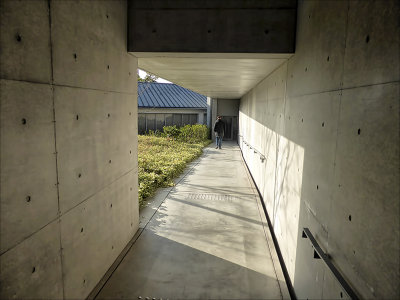 NaoshimaP 31 copy.jpg