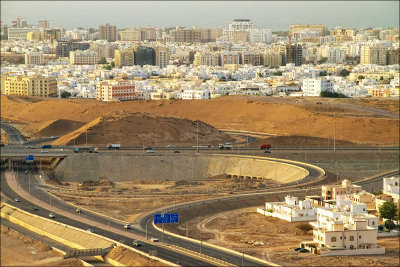 Muscat mini.jpg