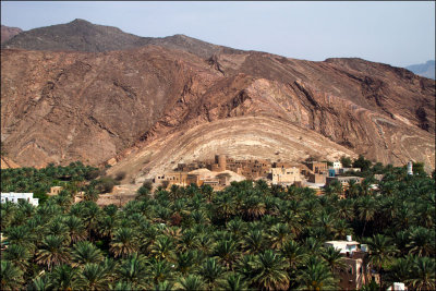 Birkat al Nuss copia.jpg