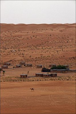 campo tend mini.jpg