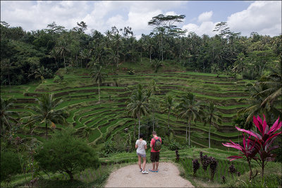 bali_2013